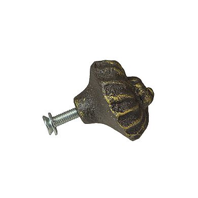 Bronze Cast Iron Nautilus Shell Drawer Pull Decorative Cabinet Knobs Set of 6