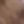 Coffee Color