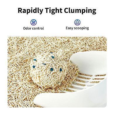 PETKIT Occult Blood Test Mixed Cat Litter 2-pk.