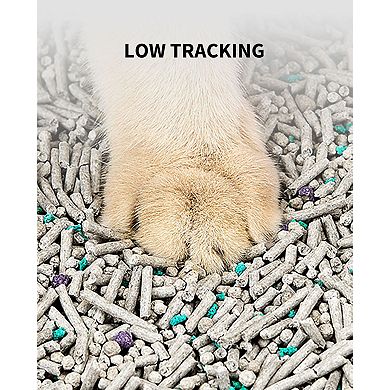 PETKIT Flushable Clumping Cat Litter 2-pk.