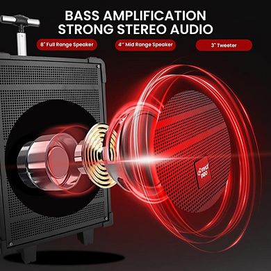 Pyle 8'' Portable Wireless Bluetooth Speaker - Rechargeable Battery, Wireless Microphone, FM Radio