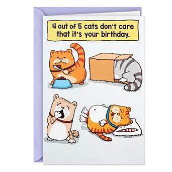 Hallmark Shoebox Cats Don't Care Funny Birthday Card