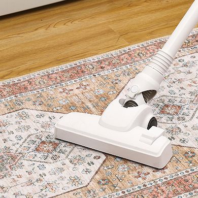 Traditional Vintage Area Rug