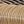 Medium Brown