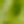 Apple Green