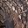 Camouflage Fabric