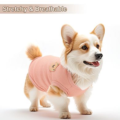 Lightweight Breathable Pet T-Shirts 3 Pcs