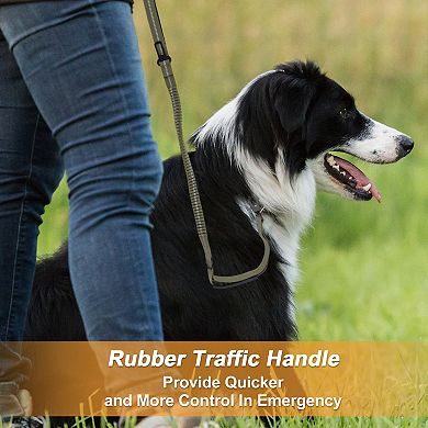 Reflective Shock-Absorbing Dog Leash with Padded Handles 1 Pc