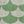 Light Green Green