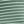 Olive White Stripe