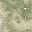 Dye Splatter Olive
