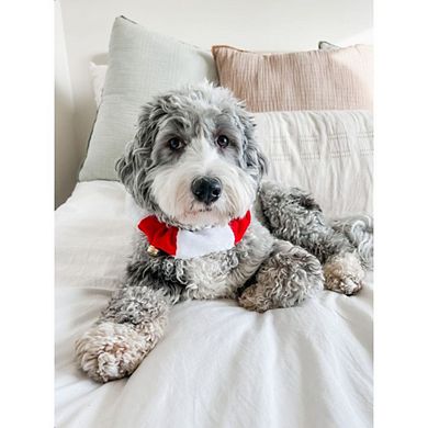 Midlee Christmas Plush Jingle Bell Collar- Festive Holiday Pet Accessories