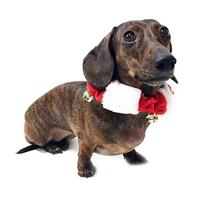 Midlee Christmas Plush Jingle Bell Collar- Festive Holiday Pet Accessories