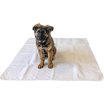 Midlee Dog Pee Pad- Pack of 2- Washable & Reusable Large Puppy Potty Training Pad