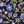 Navy Josefina Fleurs