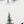 Evergreen Slopes