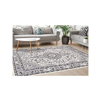 Functional Style Grey Traditional Area Rug, 4'7" x 6'7"