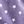Purple Stars