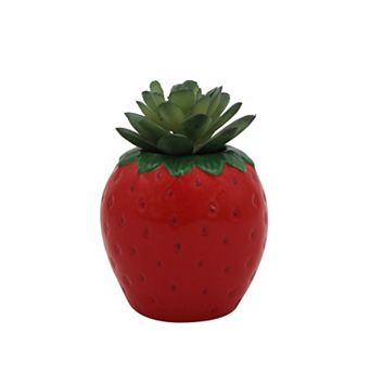 Celebrate Together™ Summer Strawberry Succulent Sitabout