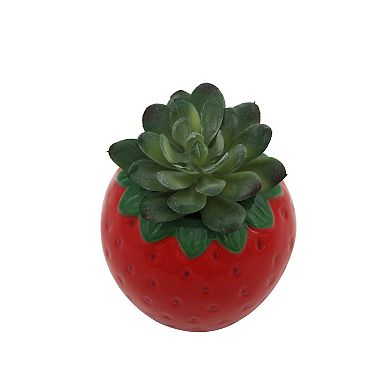 Celebrate Together™ Summer Strawberry Succulent Sitabout