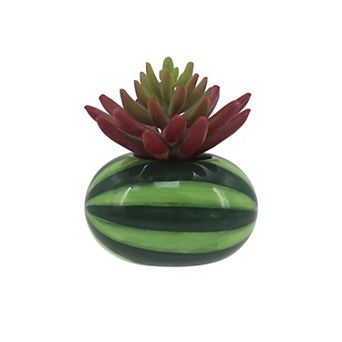Celebrate Together™ Summer Ceramic Watermelon Succulent Table Decor