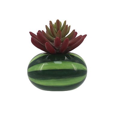 Celebrate Together™ Summer Ceramic Watermelon Succulent Table Decor