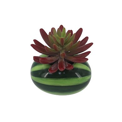 Celebrate Together™ Summer Ceramic Watermelon Succulent Table Decor