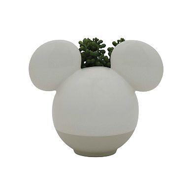 The Big One® Disney's Mickey Mouse Head Artificial Botanical Planter