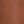 Medium Brown