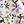 Beige Purple Floral