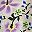 Beige Purple Floral