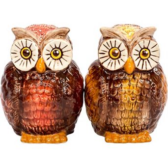 Brown Owls Attractives Ceramic Magnetic Salt and Pepper Shaker Set