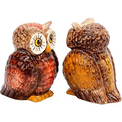 Brown Owls Attractives Ceramic Magnetic Salt and Pepper Shaker Set