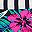 Multicolor Print