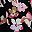 Black Darya Floral