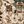 Beige Camel