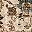Beige Camel