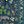 Blue Green