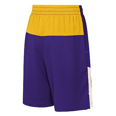 Youth Purple Minnesota Vikings Fandemonium Mesh Shorts