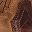 Chocolate Brown