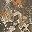 Brown Camo