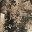 Brown Grid Leaf Camo