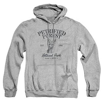 Big & Tall Petrified Forest Fox Graphic Pullover Hoodie