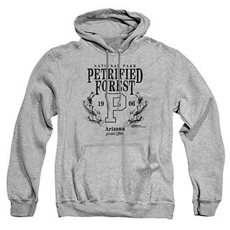 Big & Tall Petrified Forest Pear Wreath Graphic Pullover Hoodie