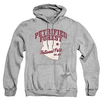 Big & Tall Petrified Forest State Graphic Pullover Hoodie