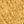 Washed Gold
