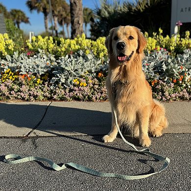 Carolina Pet Co. Checkered Wave Leash
