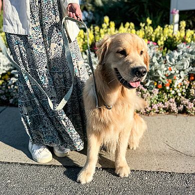 Carolina Pet Co. Checkered Wave Leash