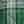 Light Emerald Plaid
