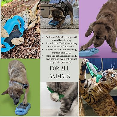 De' Vora Scratch Square Dog & Cat Grooming Toy